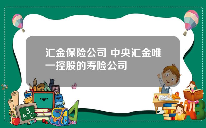 汇金保险公司 中央汇金唯一控股的寿险公司